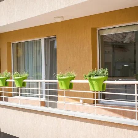 Апартаменты Sea Grape Wine Flat In Old Center *
